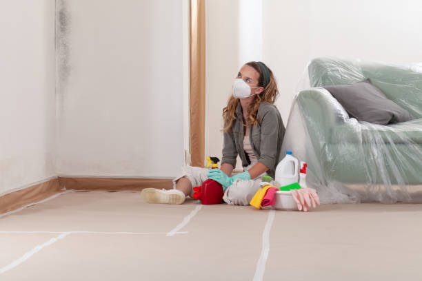 Reliable Mold Remediation contractor in Princeton, IL by 24 Hour Mold Removal